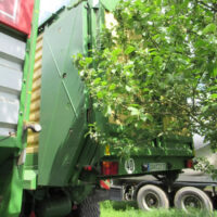 SDAH offener Kasten mit Ladegerät / Ladewagen KRONE ZX 430 GD – Bild 6