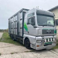 LKW-ViehtransporterMAN TGA 26.419 MAN (2002) – Bild 2