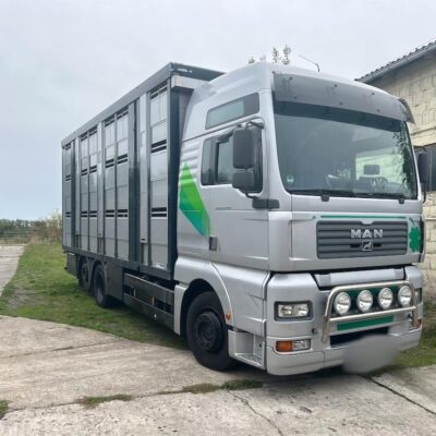 LKW-ViehtransporterMAN TGA 26.419 MAN (2002)