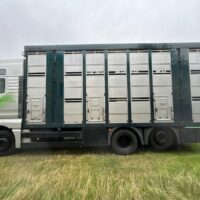 LKW-ViehtransporterMAN TGA 26.419 MAN (2002) – Bild 4